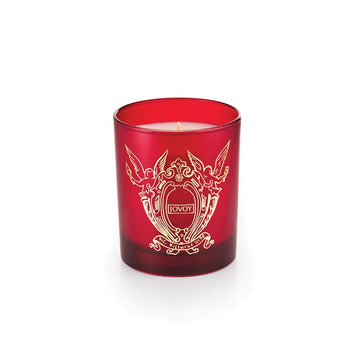 Jovoy Ambre Premier candle 700gm
